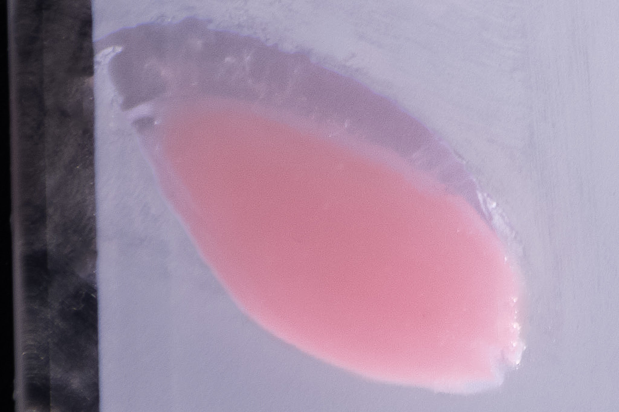 R10802